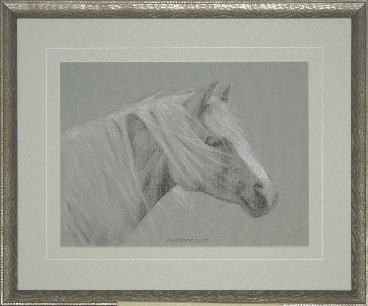 Horse, Graphite and white pencil, from a photography