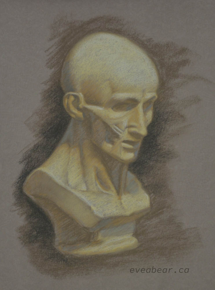 Écorché, Pastel, from a sculpture